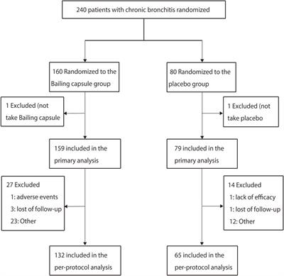 Efficacy and safety of Cordyceps sinensis (Hirsutella sinensis, Cs-C-Q80) in chronic bronchitis